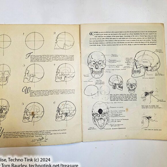 Anatomy by Walter T Foster: Anatomy for Teachers and Students - Picture 2 of 10